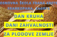 Oš Frana Krste Frankopana | Zagreb